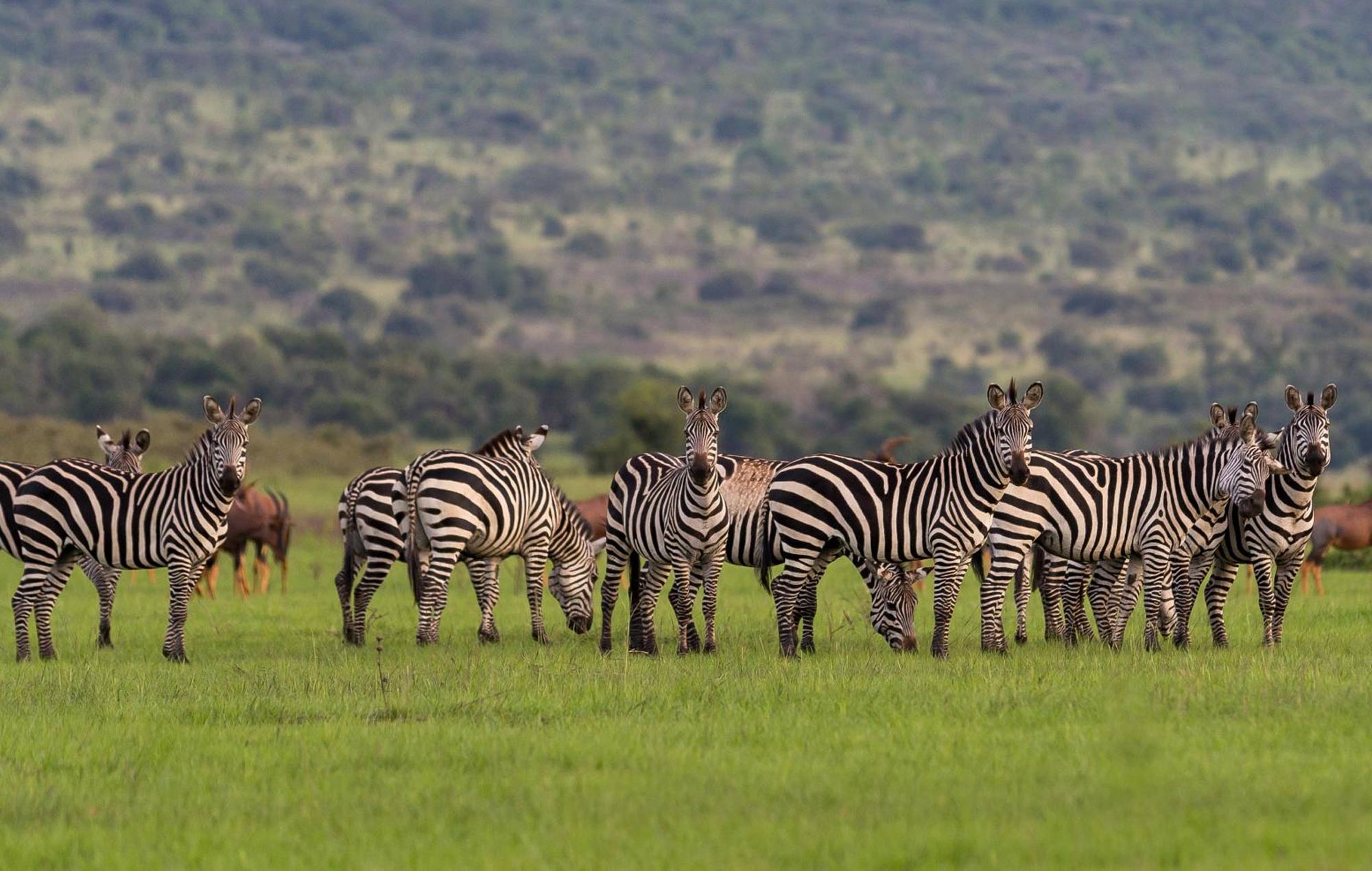 consider Uganda